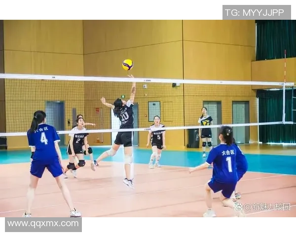 排球纪实：记录南京排球队的逆袭之旅